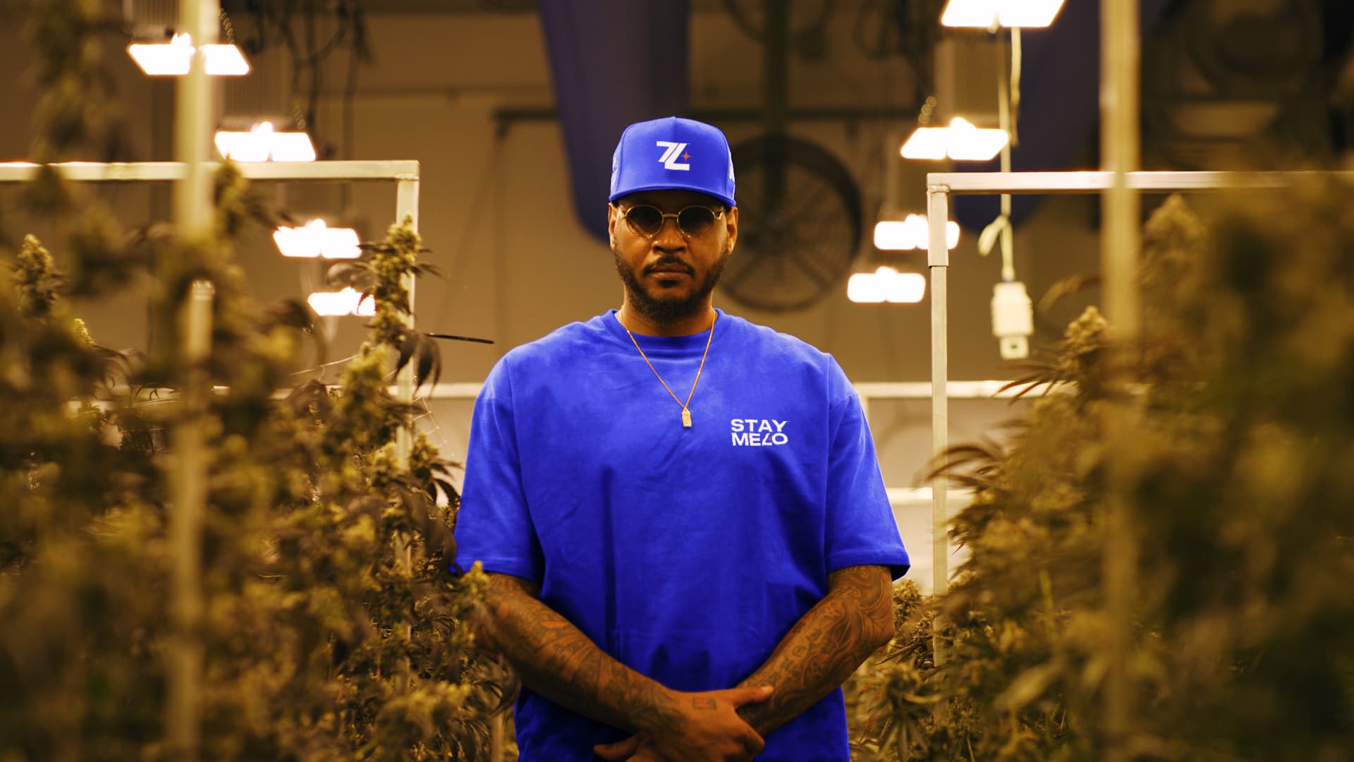 Carmelo Anthony Launches Cannabis Company That Will Donate A Portion Of Its Profits To Criminal Justice Reform