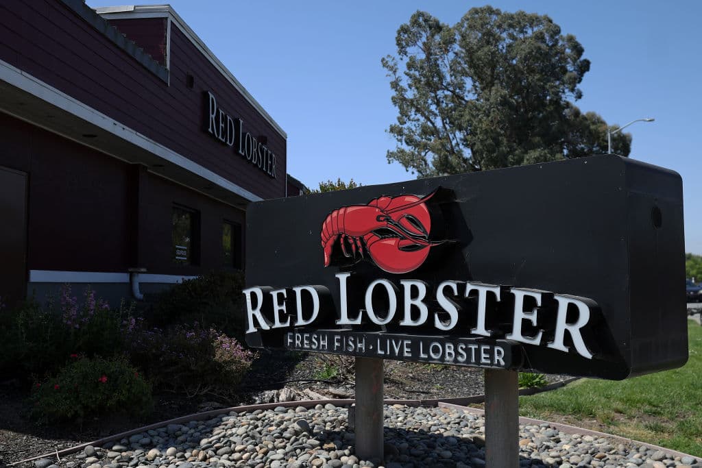 How 36-Year-Old Damola Adamolekun, The Former CEO Of P.F. Chang’s, Is Leading Red Lobster’s Comeback From Bankruptcy How 36-Year-Old Damola Adamolekun, The Former CEO Of P.F. Chang’s, Is Leading Red Lobster’s Comeback From Bankruptcy