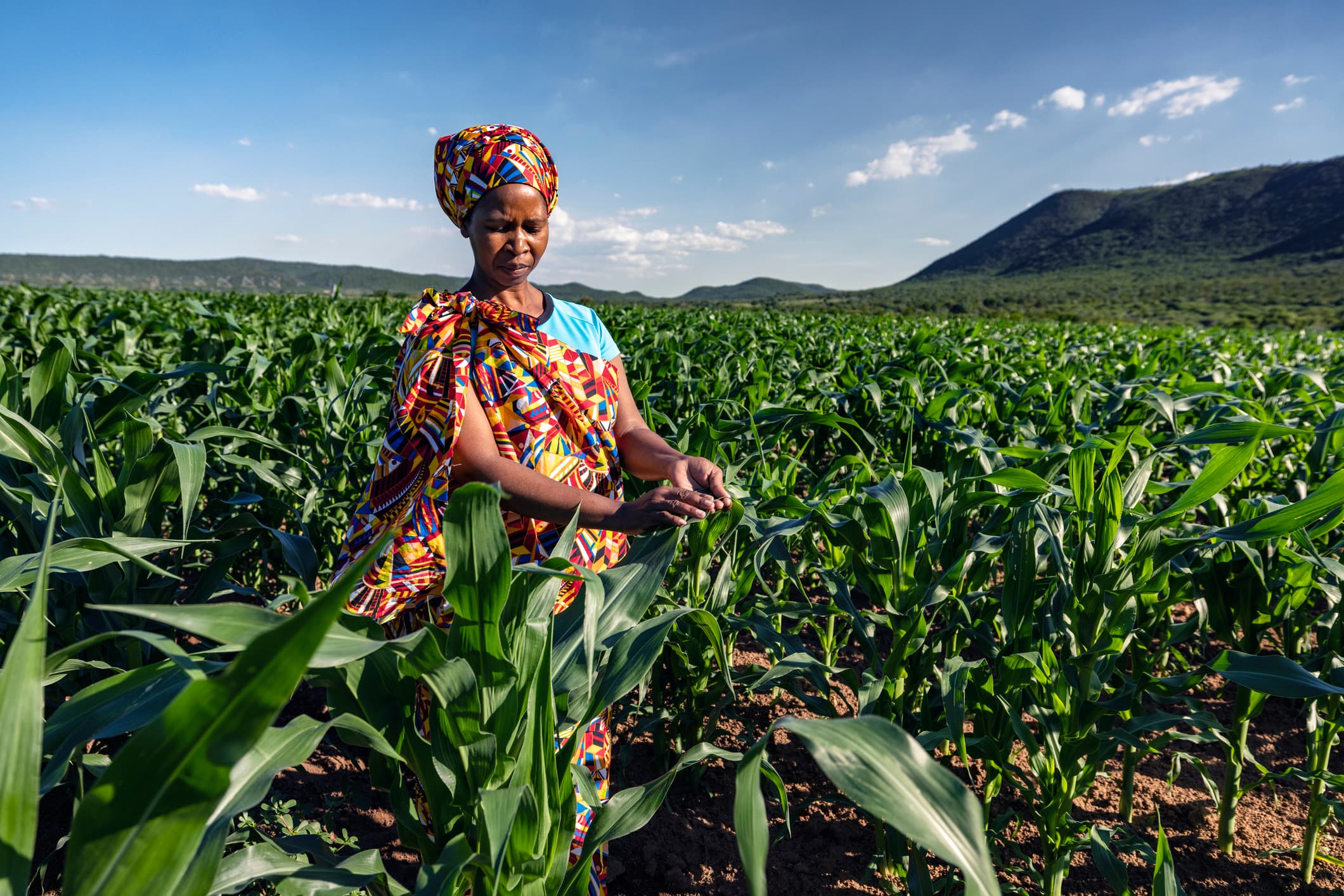 Sahel Capital Secures $10M From Mastercard Foundation Africa Growth Fund To Grow African Agri-SMEs Sahel Capital Secures $10M From Mastercard Foundation Africa Growth Fund To Grow African Agri-SMEs