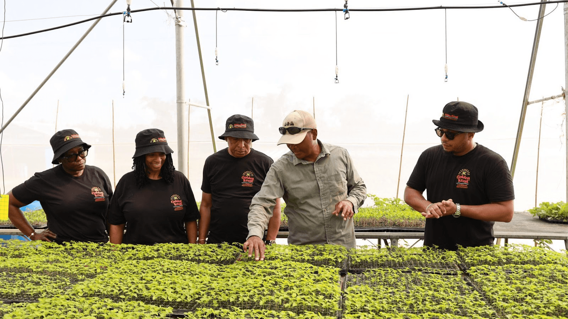 Black-Owned Caribbean Restaurant Golden Krust Announces Initiative To Help Jamaican Farmers Impacted By Hurricane Melissa Black-Owned Caribbean Restaurant Golden Krust Announces Initiative To Help Jamaican Farmers Impacted By Hurricane Melissa