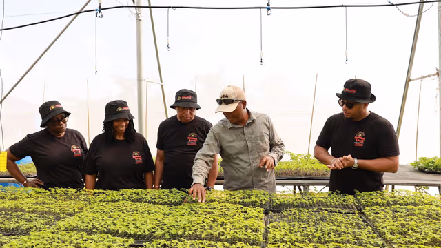 Black-Owned Caribbean Restaurant Golden Krust Announces Initiative To Help Jamaican Farmers Impacted By Hurricane Melissa Black-Owned Caribbean Restaurant Golden Krust Announces Initiative To Help Jamaican Farmers Impacted By Hurricane Melissa